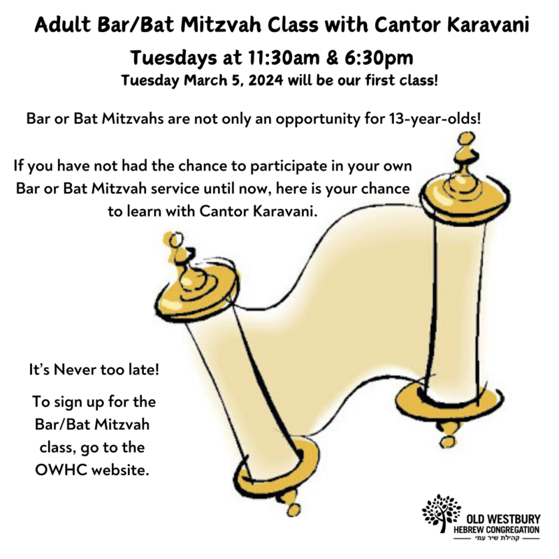 Banner Image for Adult Bar/Bat Mitzvah with Cantor Karavani